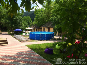 Baza Otdykha Sosnovy Bor